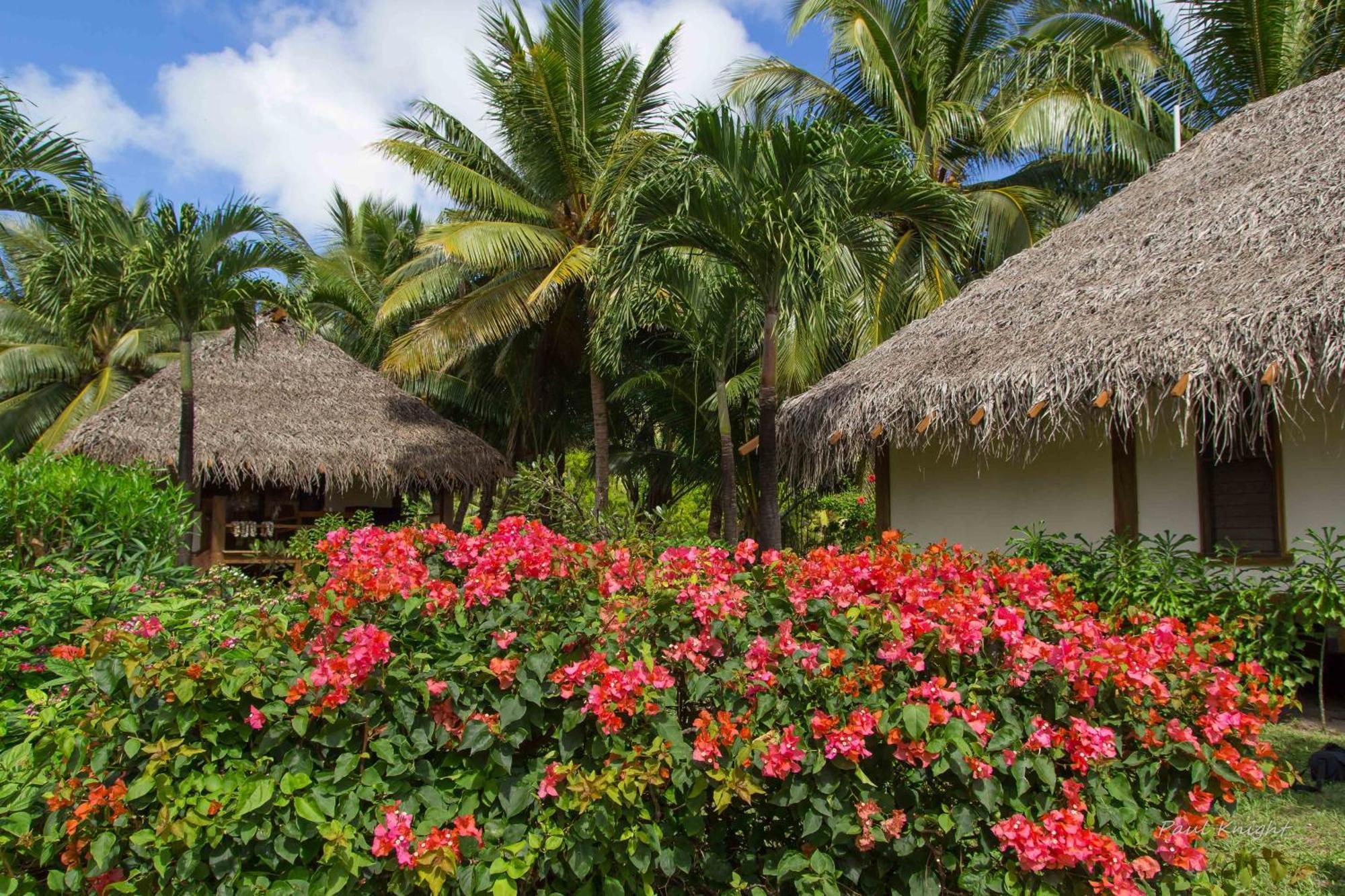 Etu Moana Boutique Beach Villas - Adults Only Arutanga Exteriér fotografie