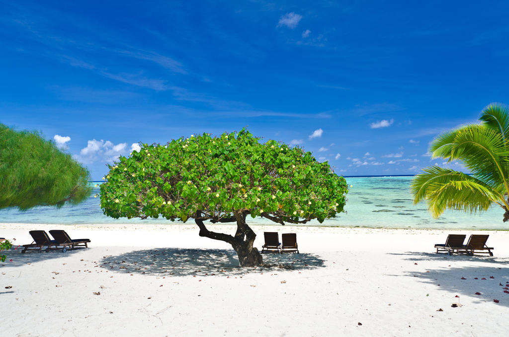 Etu Moana Boutique Beach Villas - Adults Only Arutanga Exteriér fotografie